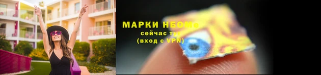прущие грибы Володарск