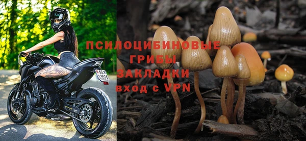 сатива Волоколамск