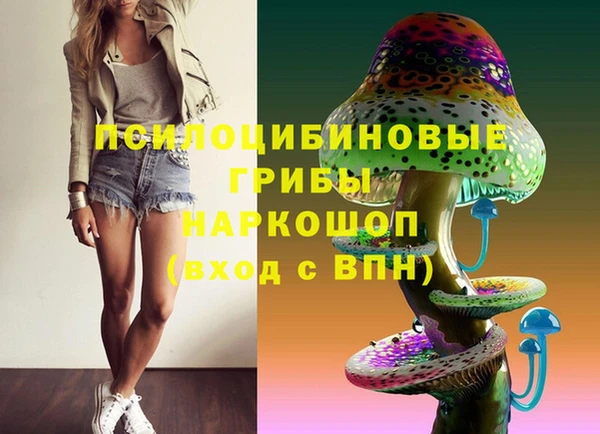 прущие грибы Володарск