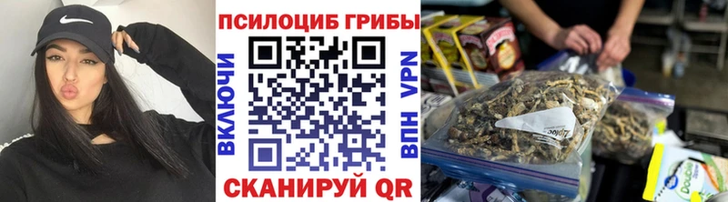 ссылка на мегу   Геленджик  Галлюциногенные грибы Psilocybe 