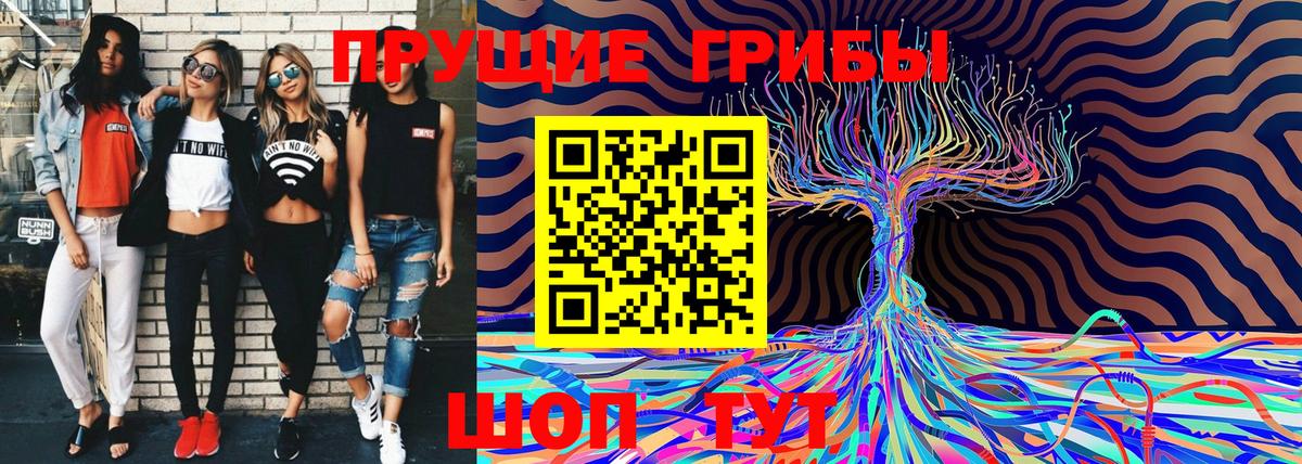 Геленджик  Галлюциногенные грибы Psilocybe  Вход с VPN 